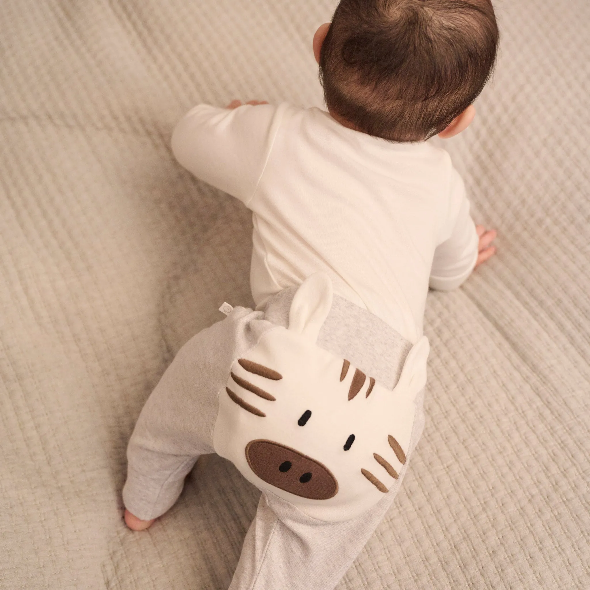 Long Sleeve Bodysuit & Zebra Joggers Outfit